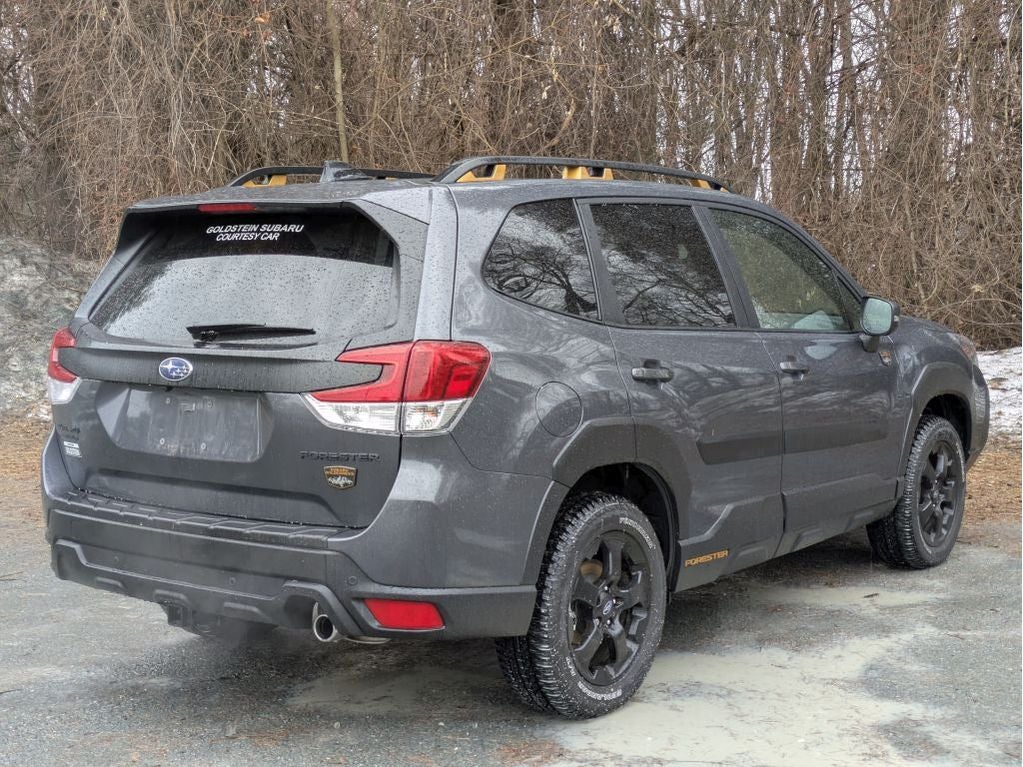 2025 Subaru Forester Wilderness