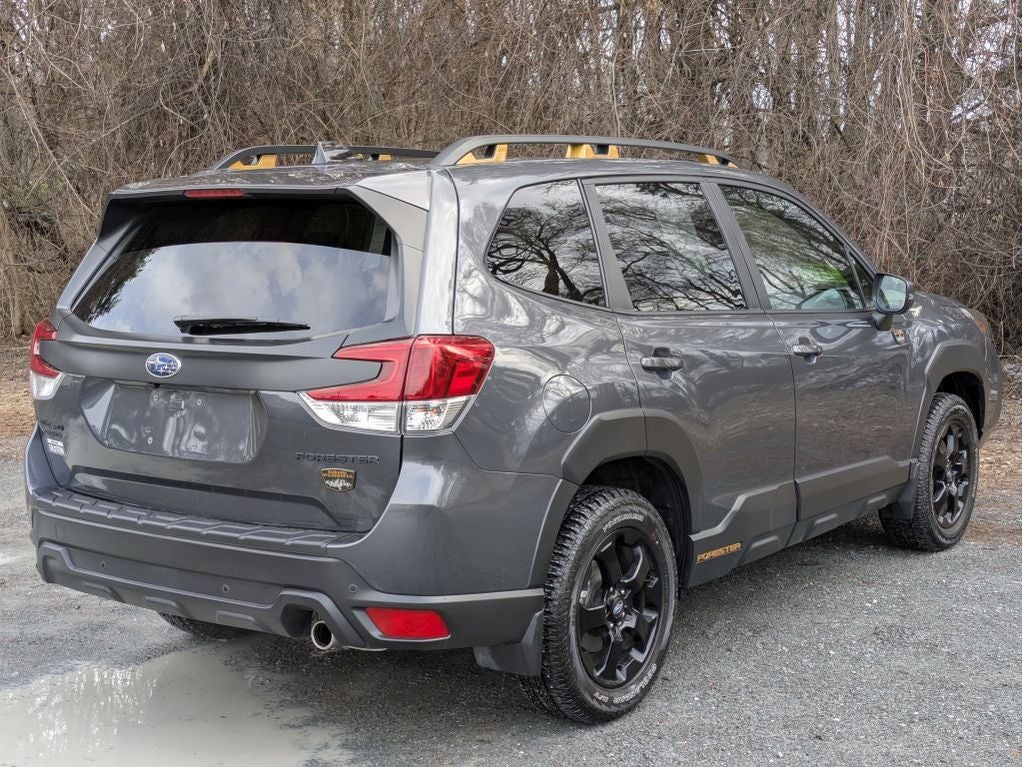 2025 Subaru Forester Wilderness