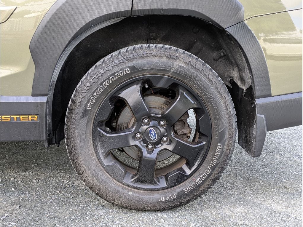 2023 Subaru Forester Wilderness