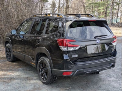 2023 Subaru Forester Wilderness